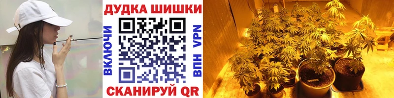 Марихуана THC 21%  Купить  Цивильск 